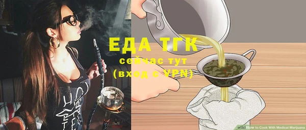 стаф Каменка