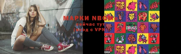 МДПВ Каменногорск