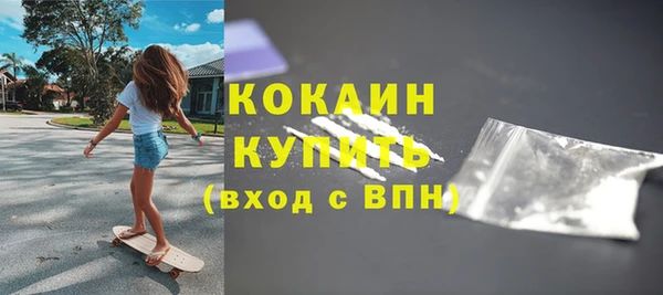 стаф Каменка