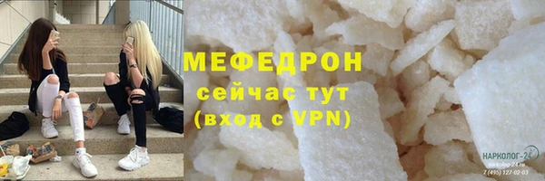 стаф Каменка
