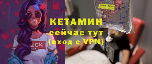 стаф Каменка