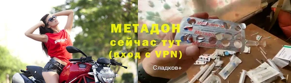 стаф Каменка