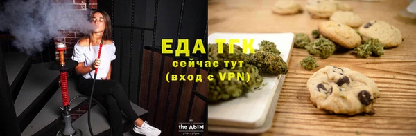 стаф Каменка