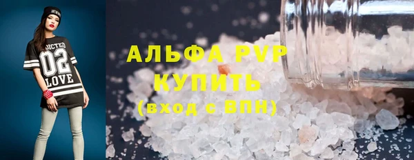 стаф Каменка