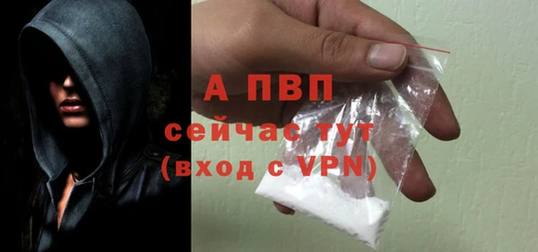 дурь Инта