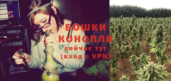 дурь Инта