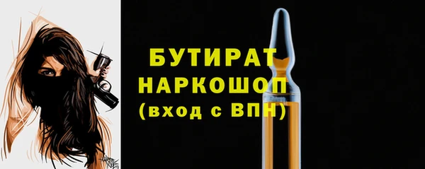 стаф Каменка