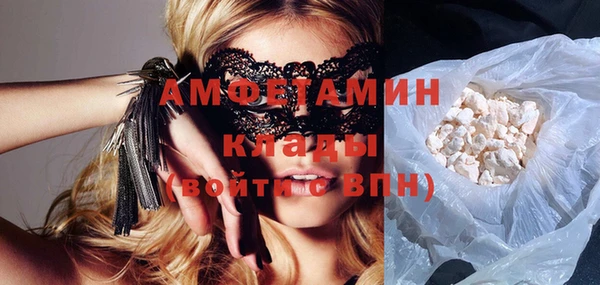 стаф Каменка