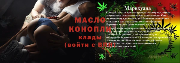 стаф Каменка