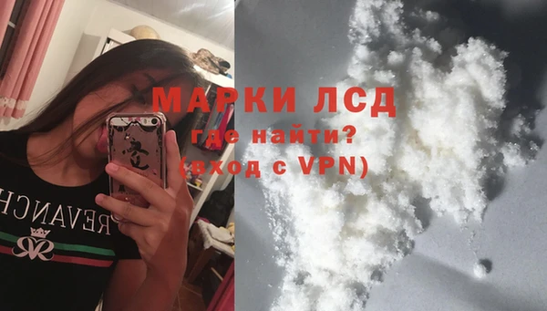 стаф Каменка