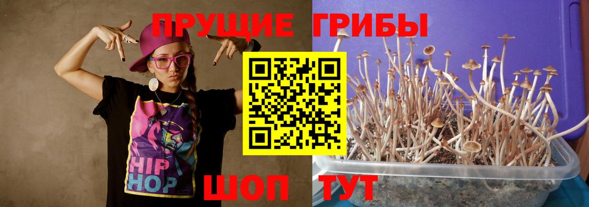 Галлюциногенные грибы ЛСД  как найти наркотики  Кашира  Вход с VPN  Галлюциногенные грибы Psilocybe 